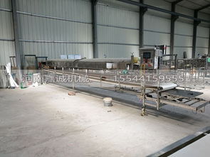 國內(nèi)知名紅薯粉皮加工設(shè)備選購指南 廠家、價(jià)格與銷售熱線